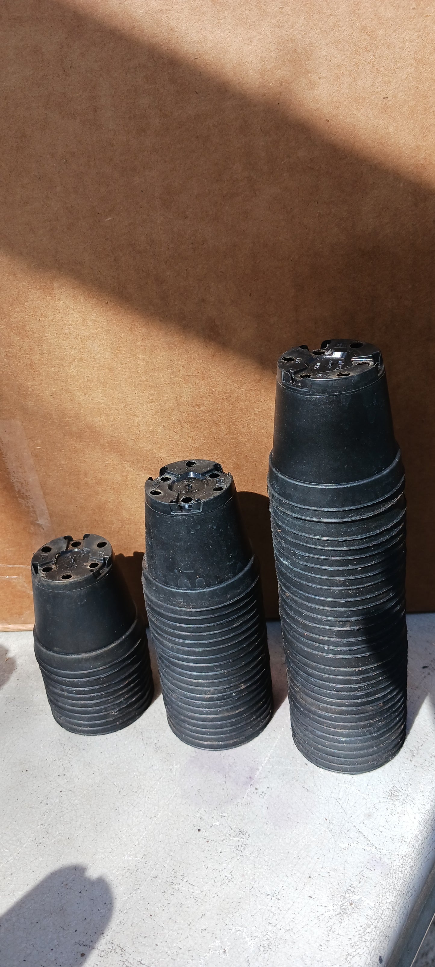 Orchid 2.5" Round Plastic Nursery Pots Seedling Succulent Starter Plant Clay or Black Color 20 count