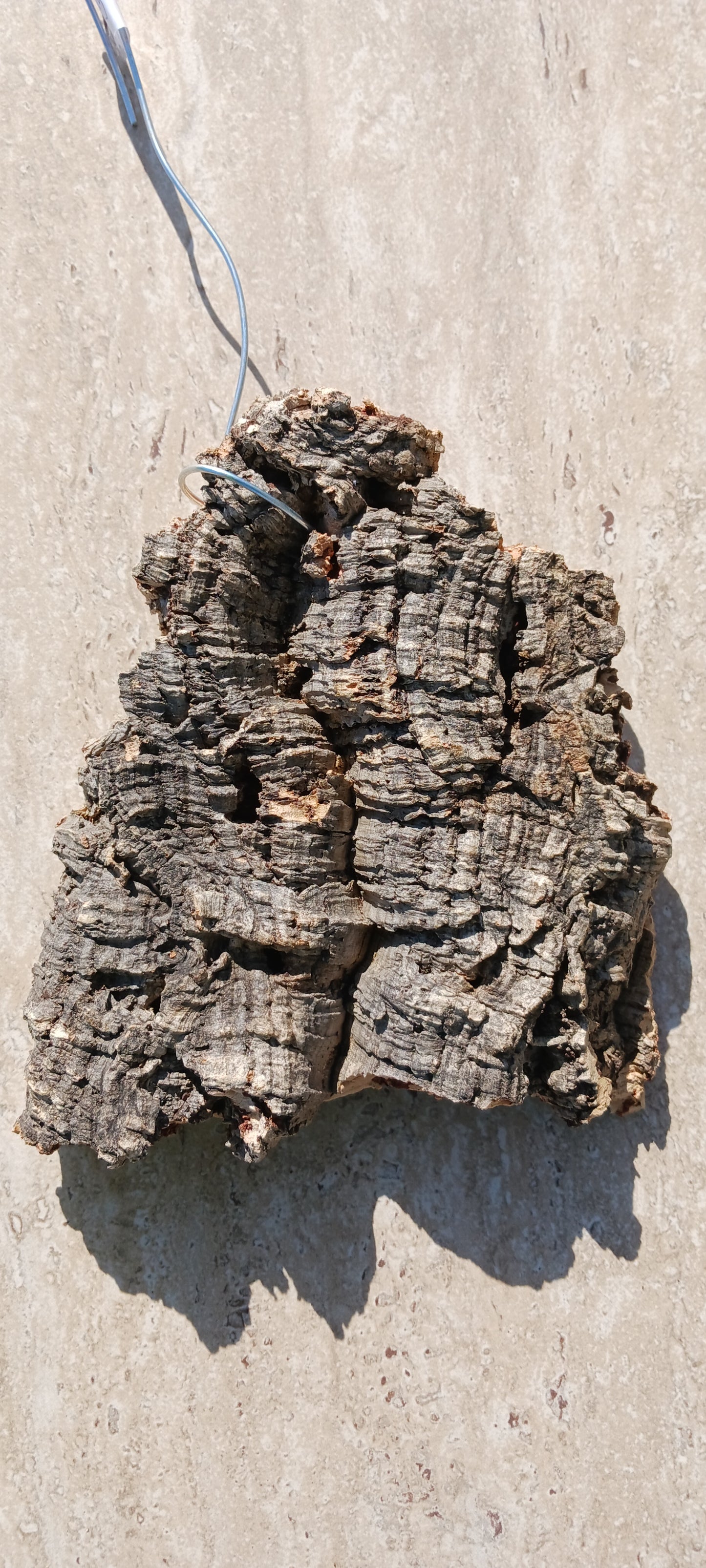 Cork Bark mounting Actual Pieces Size Varies mounting wire attached