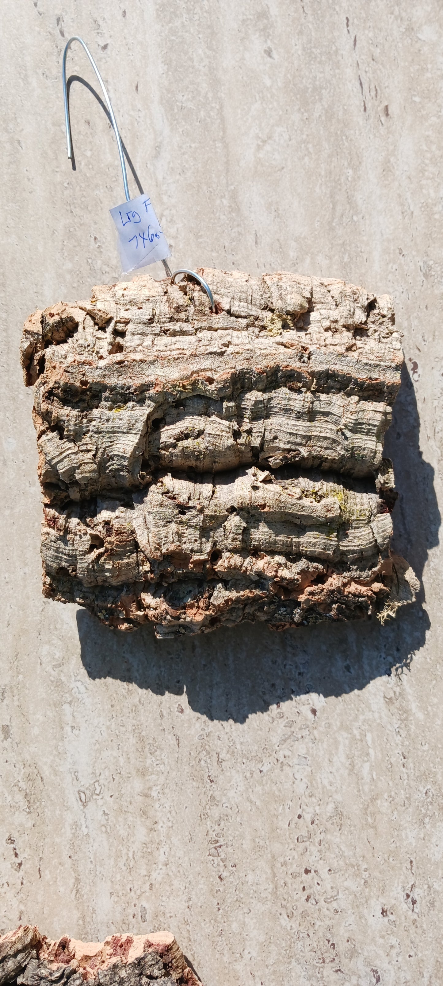 Cork Bark mounting Actual Pieces Size Varies mounting wire attached