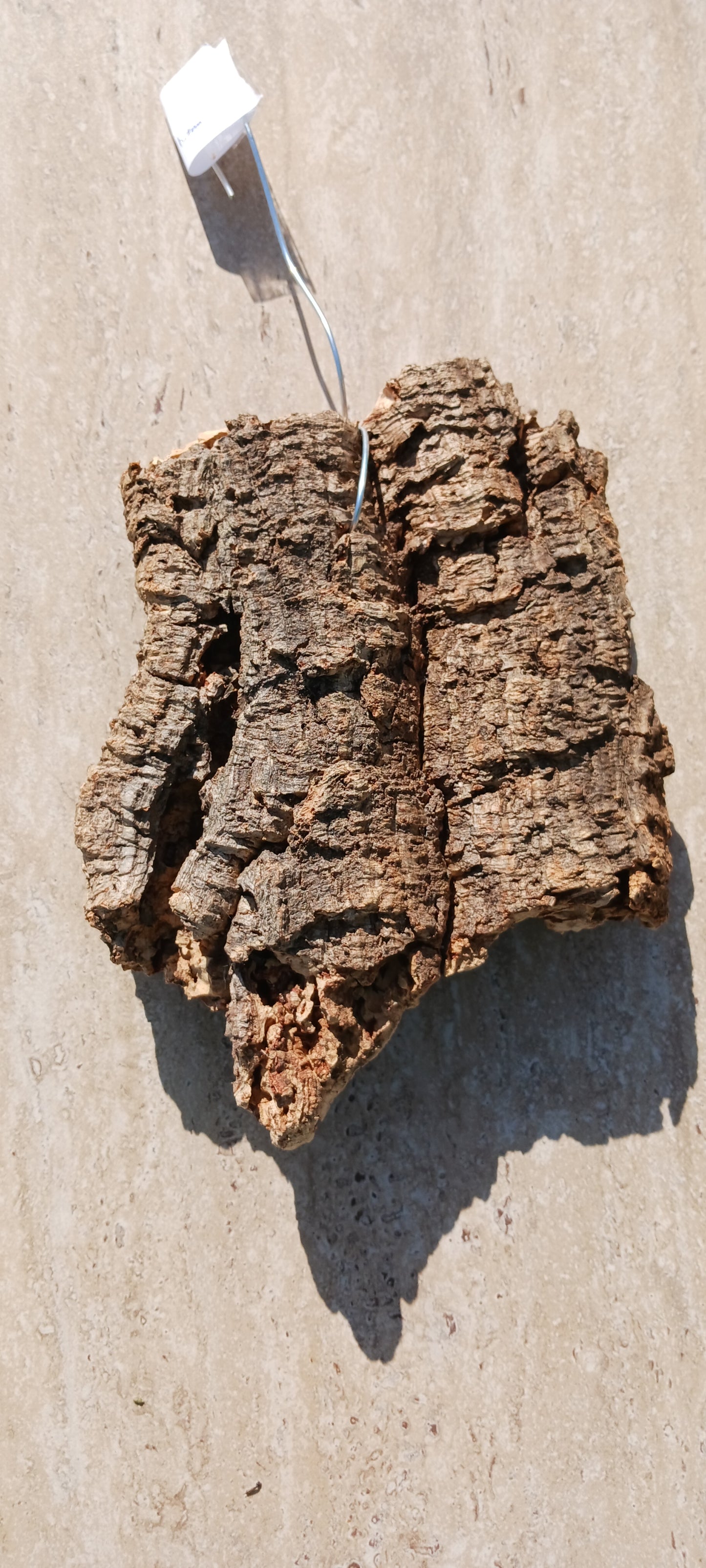 Cork Bark mounting Actual Pieces Size Varies mounting wire attached