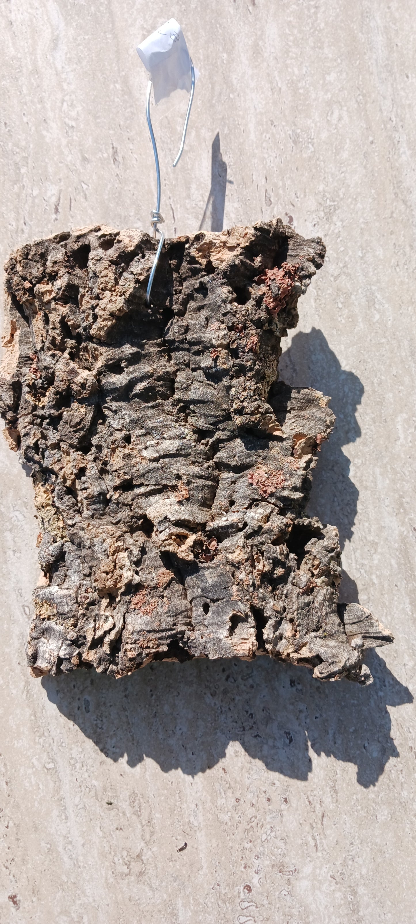 Cork Bark mounting Actual Pieces Size Varies mounting wire attached