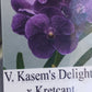 Vanda Kasem's Delight Kretcant