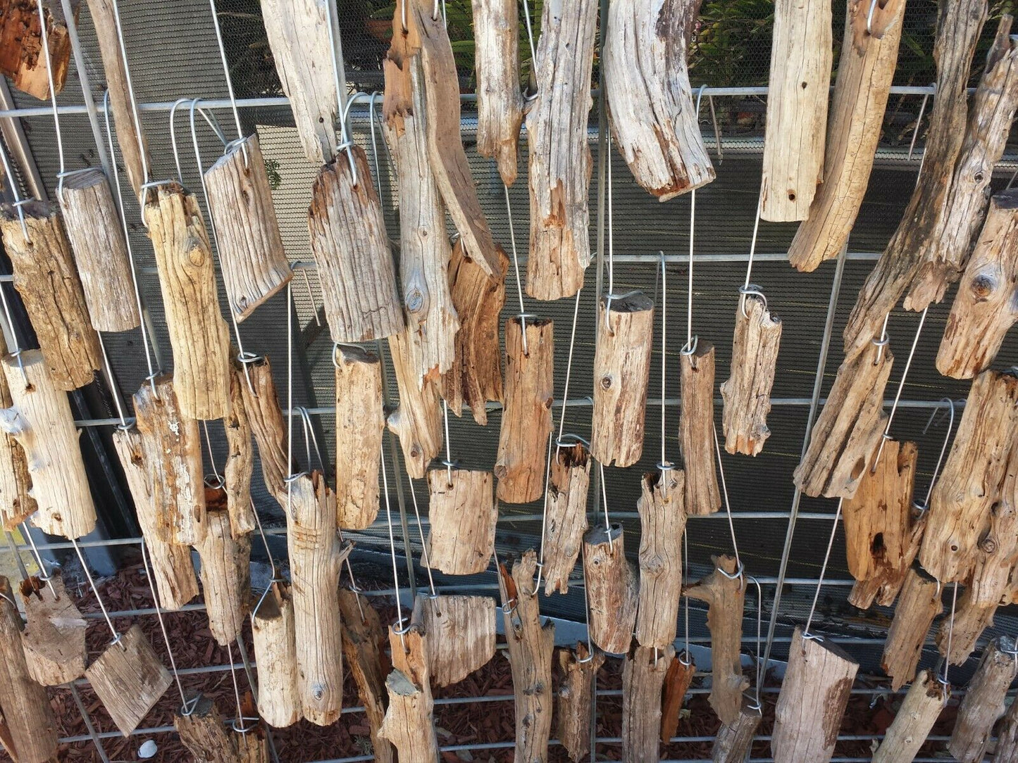 Driftwood mounting on hanging wire 6 inch for orchid and other epiphytic plants