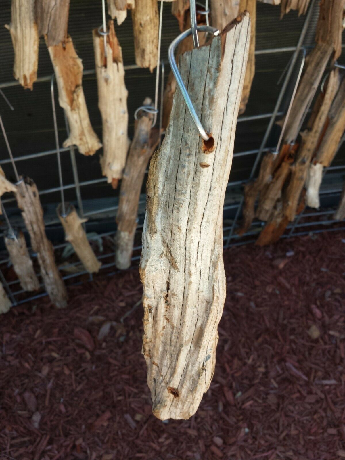 Driftwood mounting on hanging wire 6 inch for orchid and other epiphytic plants