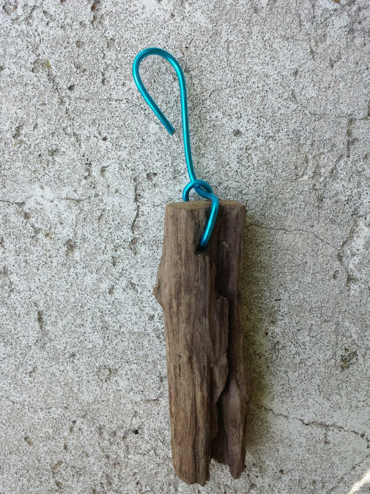 Driftwood mounting on hanging wire 6 inch for orchid and other epiphytic plants