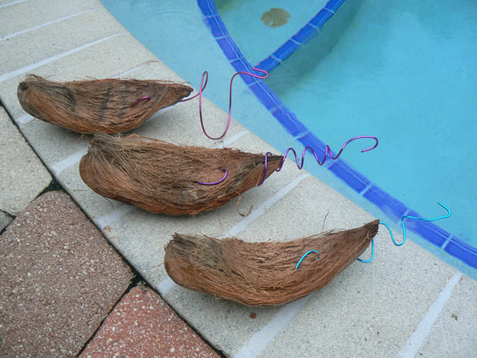 Three Pack Coconut Shell Husk Hanger for Orchid Tillandsia other Epiphyte