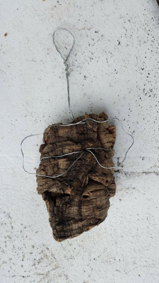 Cork Bark mounting with hanging mounting wire attached orchid air plant small size