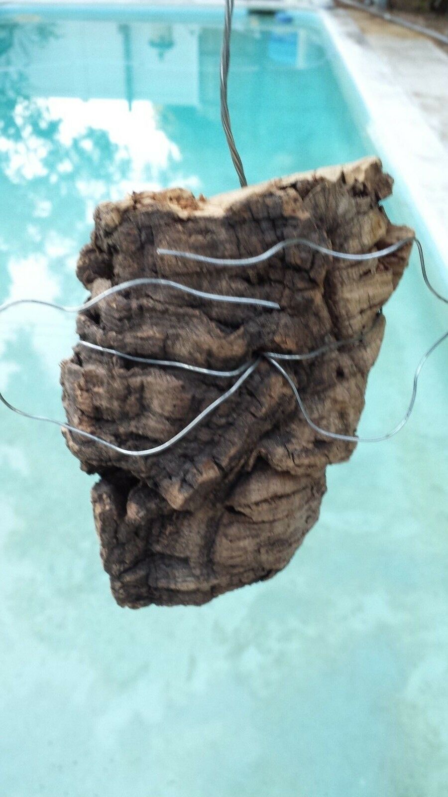 Cork Bark mounting with hanging mounting wire attached orchid air plant small size
