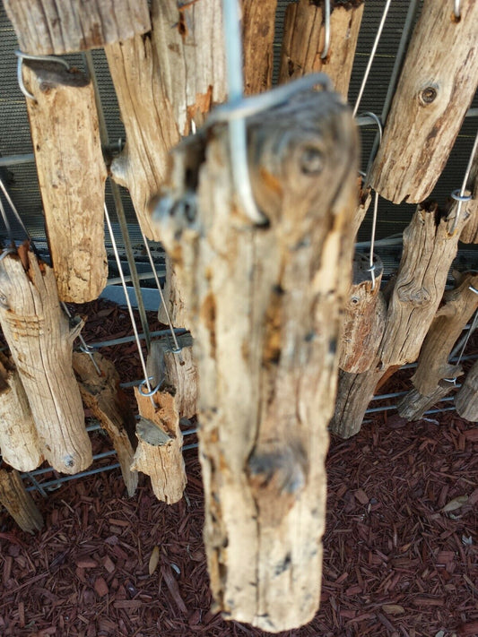 Driftwood mounting on hanging wire 12 inch for orchid and other epiphyte type