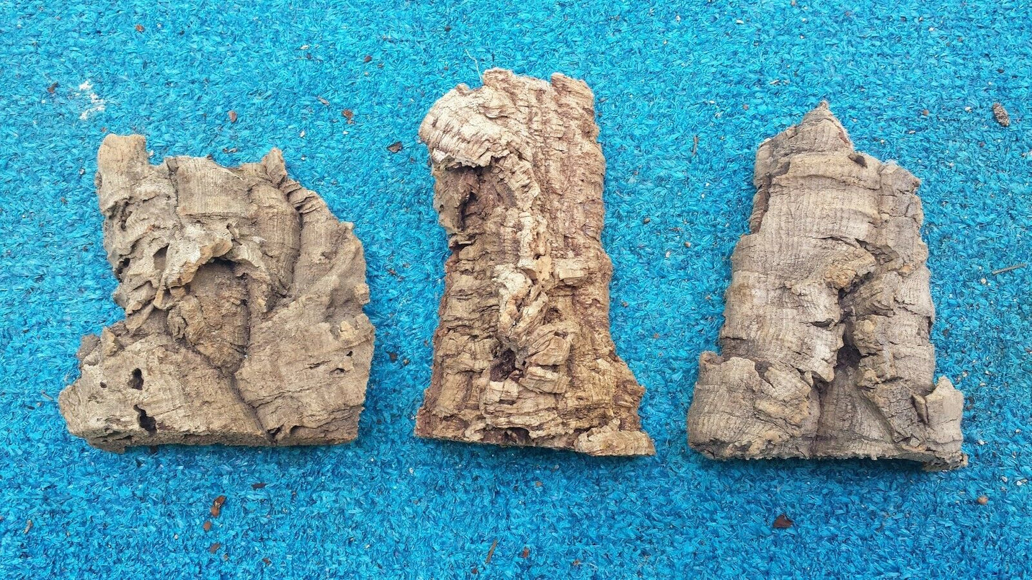 Cork Bark mounting with hanging wire attached small to X-large sizes
