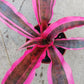 Bromeliad Cryptanthus Red Baron var Living Colors