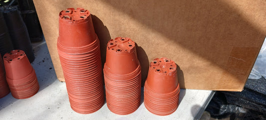 Orchid 2.5" Round Plastic Nursery Pots Seedling Succulent Starter Plant Clay or Black Color 30 count