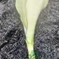Sansevieria Superba futura Moonshine Snake plant Bulk Wholesale