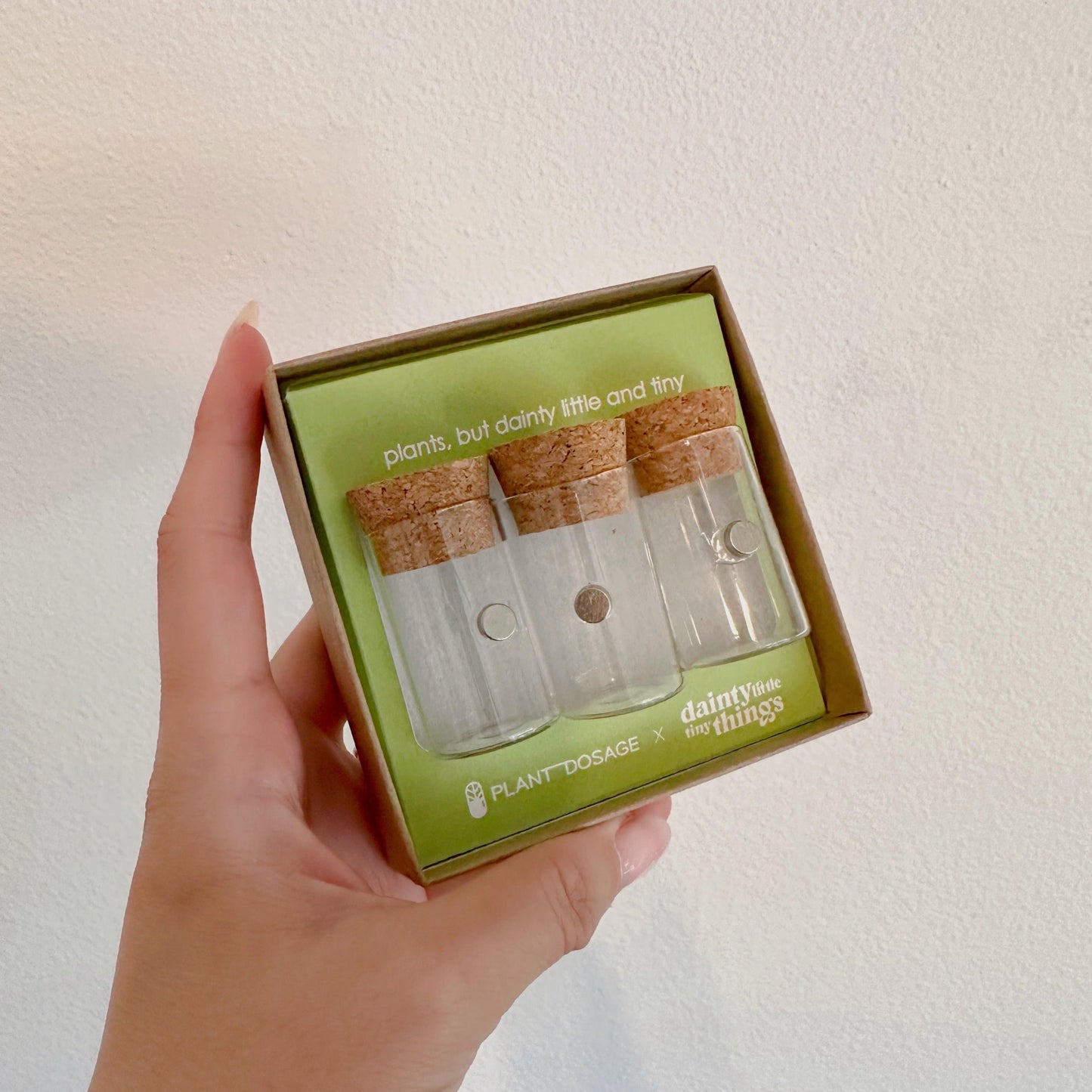 Magnetic Glass Jars Propagation