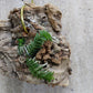 Orchid Schoenorchis scolopendria Mirco Miniature mounted