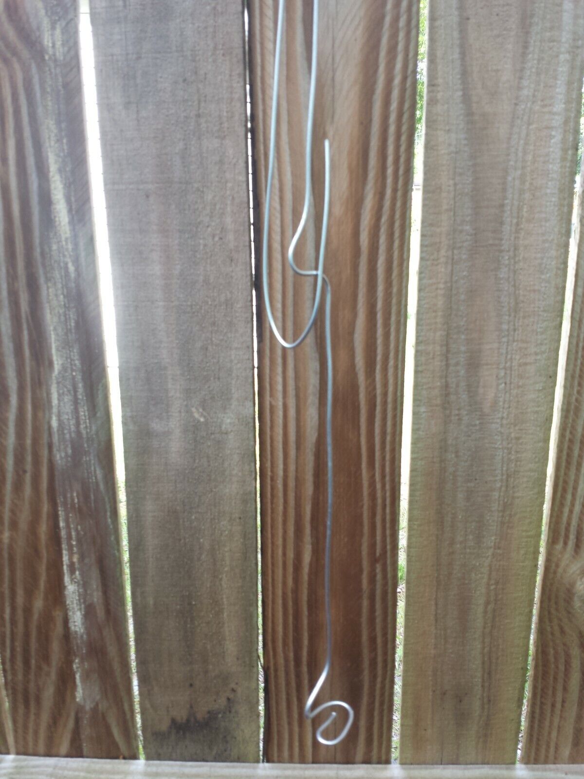 Orchid Vanda wire hanger adjustable length 22 - 36 no basket needed
