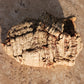 Cork Bark terrarium vivarium Dart Frog tank Actual Pieces Size Varies