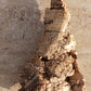 Cork Bark terrarium vivarium Dart Frog tank Actual Pieces Size Varies