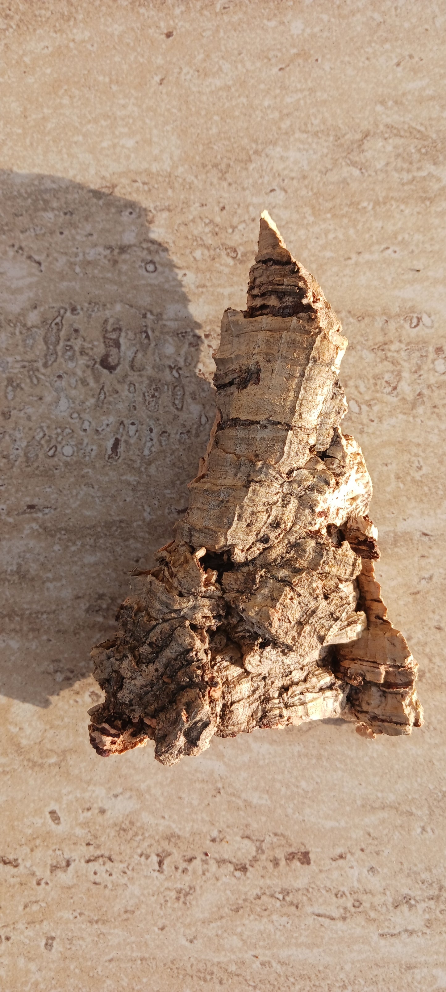 Cork Bark terrarium vivarium Dart Frog tank Actual Pieces Size Varies