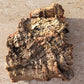 Cork Bark terrarium vivarium Dart Frog tank Actual Pieces Size Varies