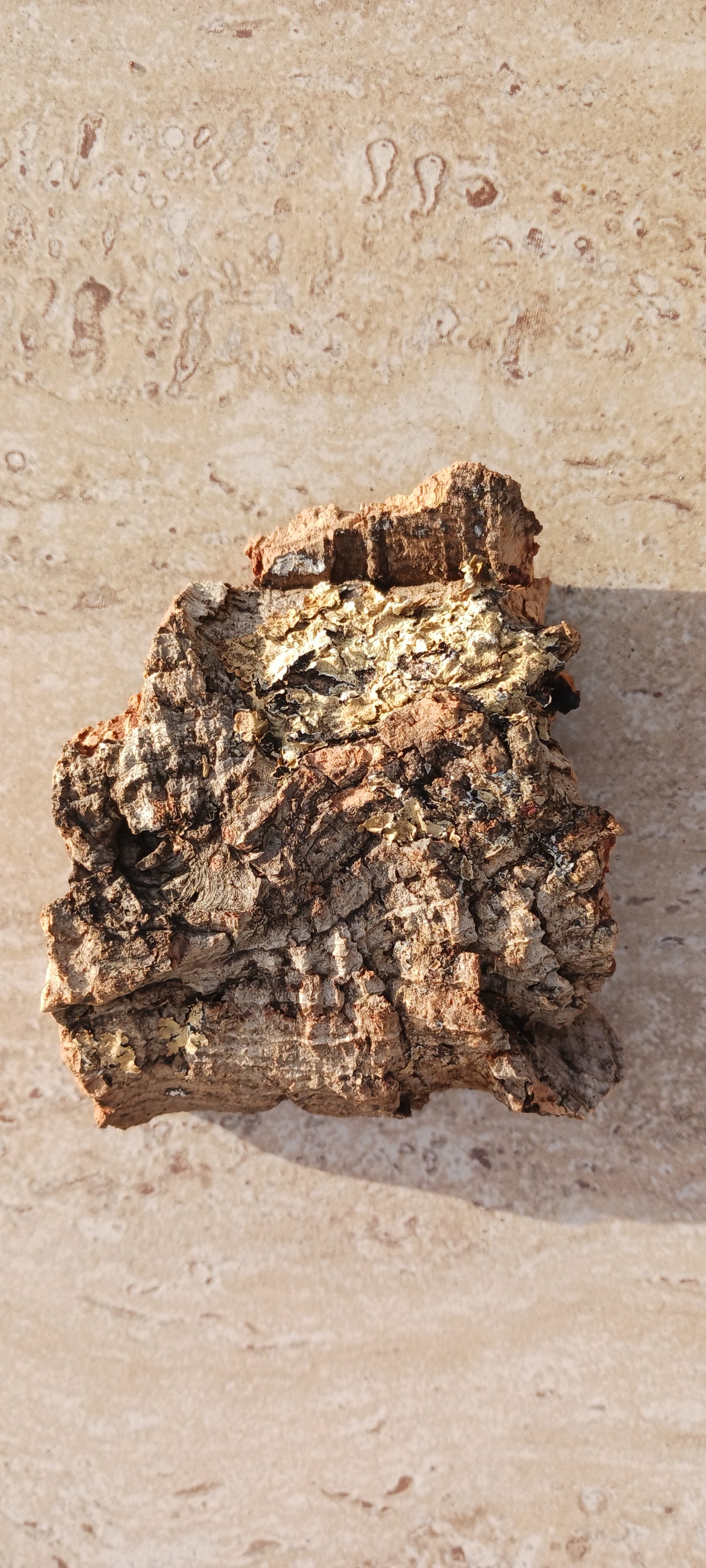 Cork Bark terrarium vivarium Dart Frog tank Actual Pieces Size Varies