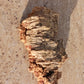 Cork Bark terrarium vivarium Dart Frog tank Actual Pieces Size Varies