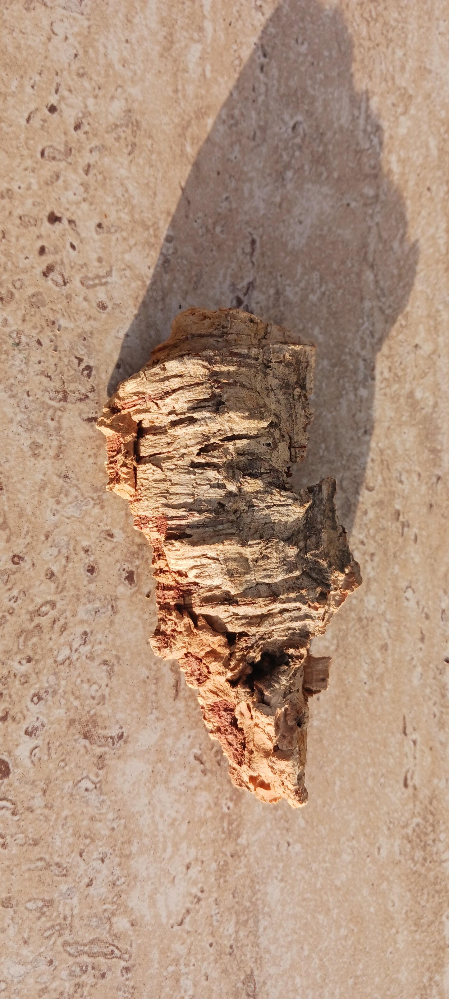 Cork Bark terrarium vivarium Dart Frog tank Actual Pieces Size Varies