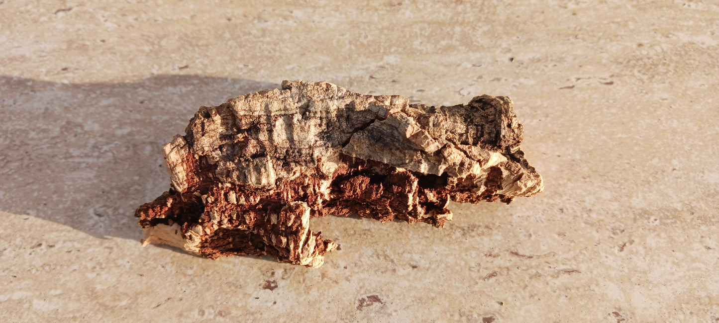 Cork Bark terrarium vivarium Dart Frog tank Actual Pieces Size Varies