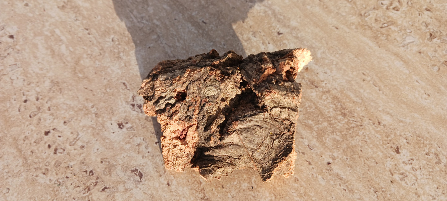 Cork Bark terrarium vivarium Dart Frog tank Actual Pieces Size Varies
