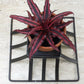 Vintage Metal Wire Basket plant stand desk table decor fruit basket gift