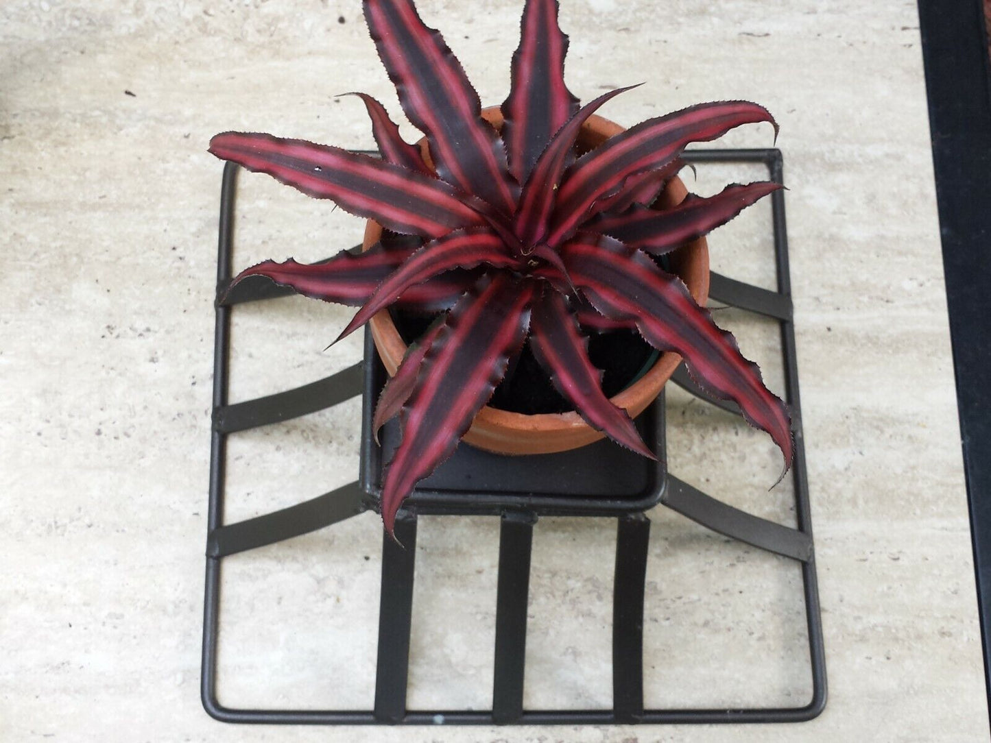 Vintage Metal Wire Basket plant stand desk table decor fruit basket gift