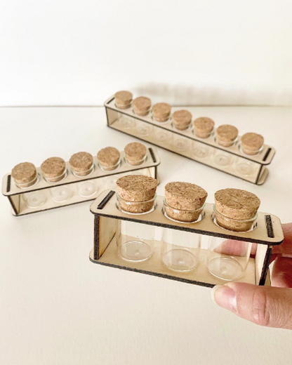 Small Wooden Propagation Station and Jars