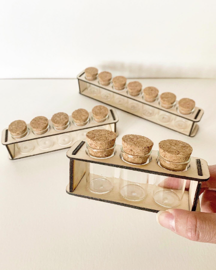 Small Wooden Propagation Station and Jars