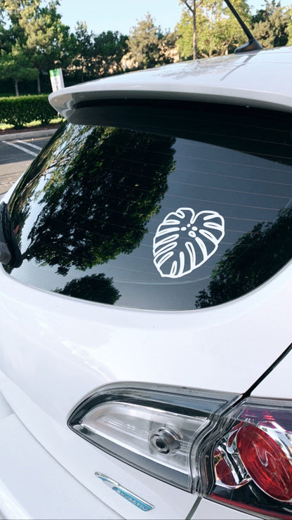 Mature Monstera Deliciosa Decal Stickers