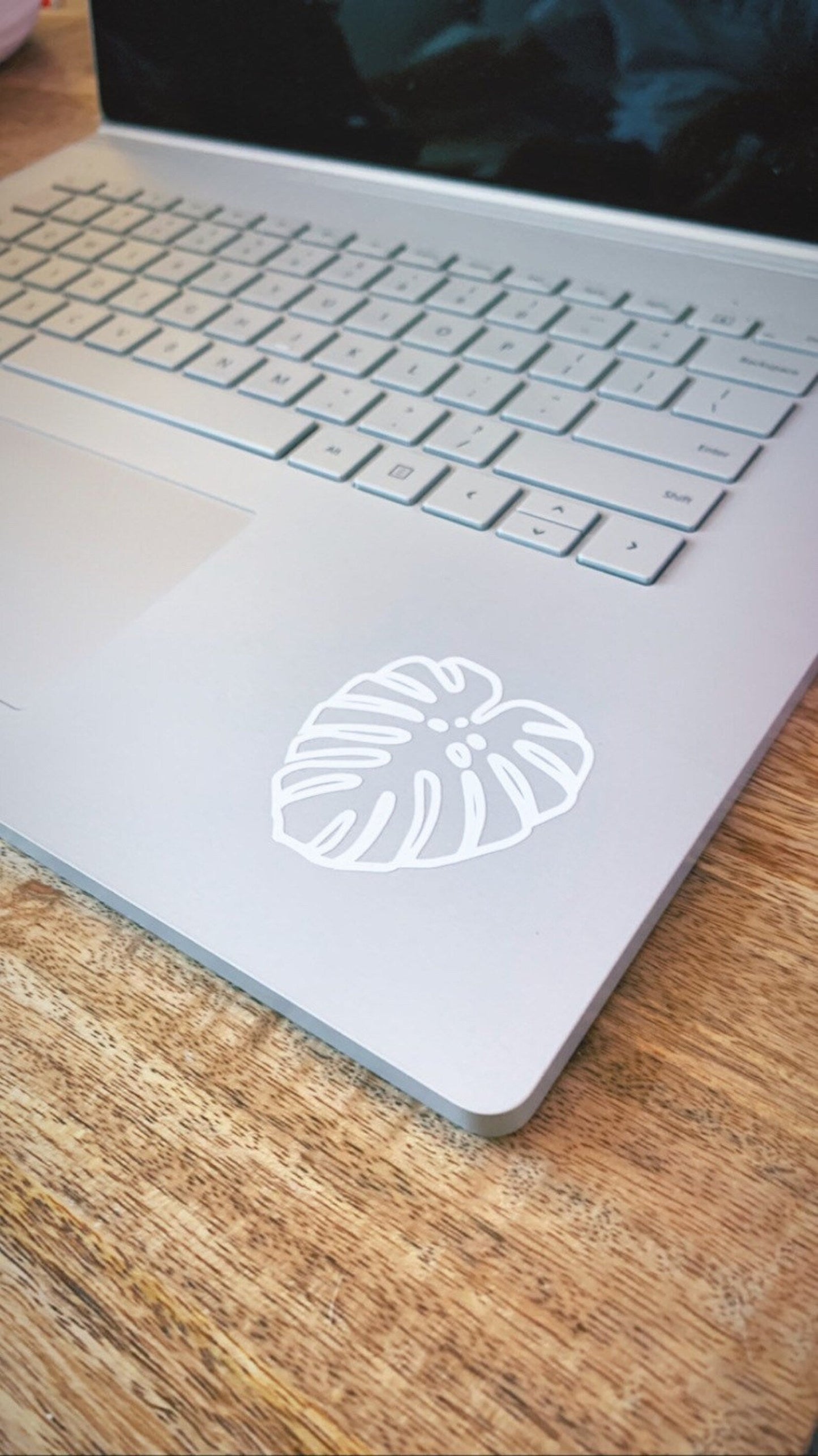 Mature Monstera Deliciosa Decal Stickers
