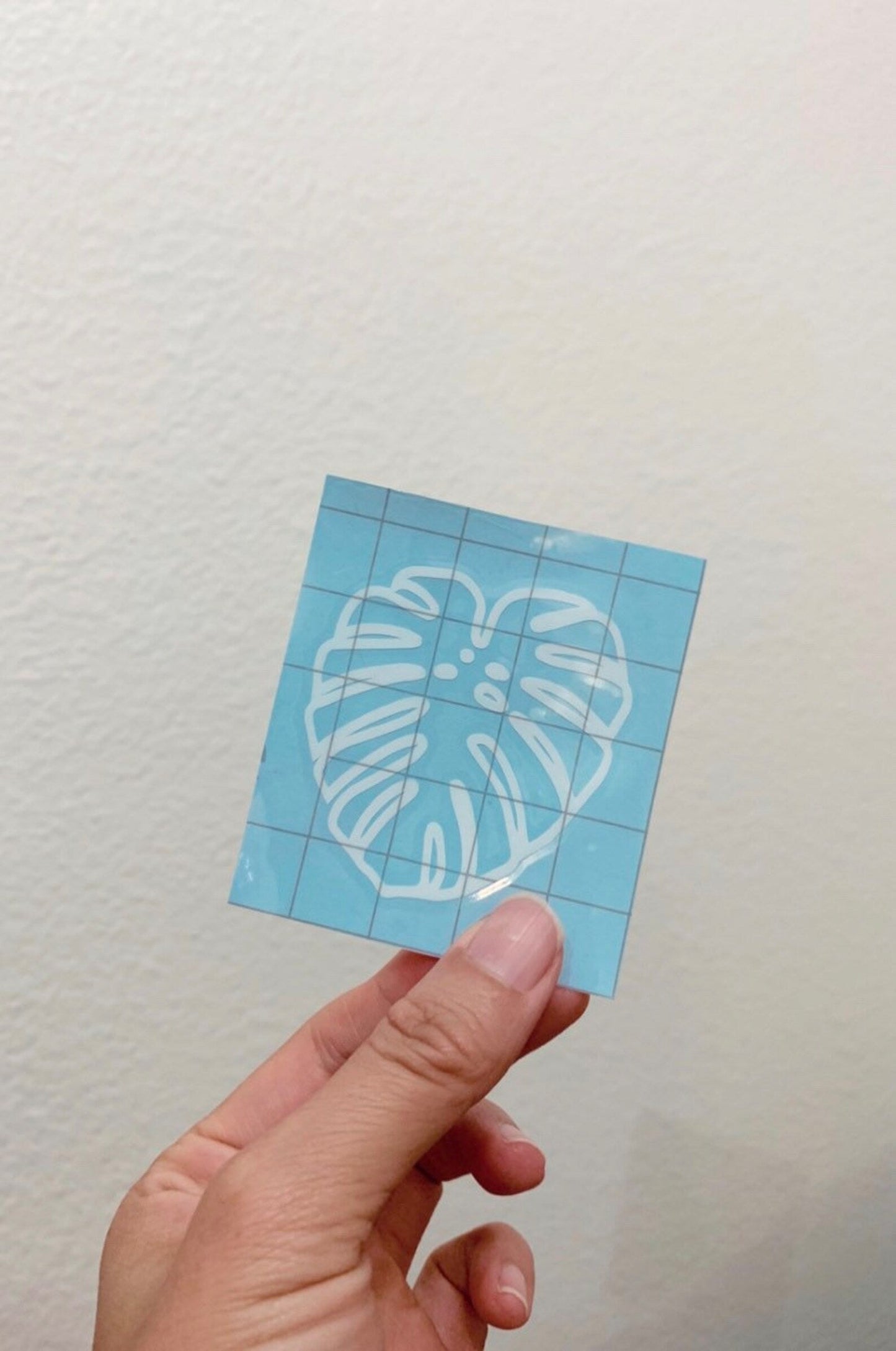 Mature Monstera Deliciosa Decal Stickers