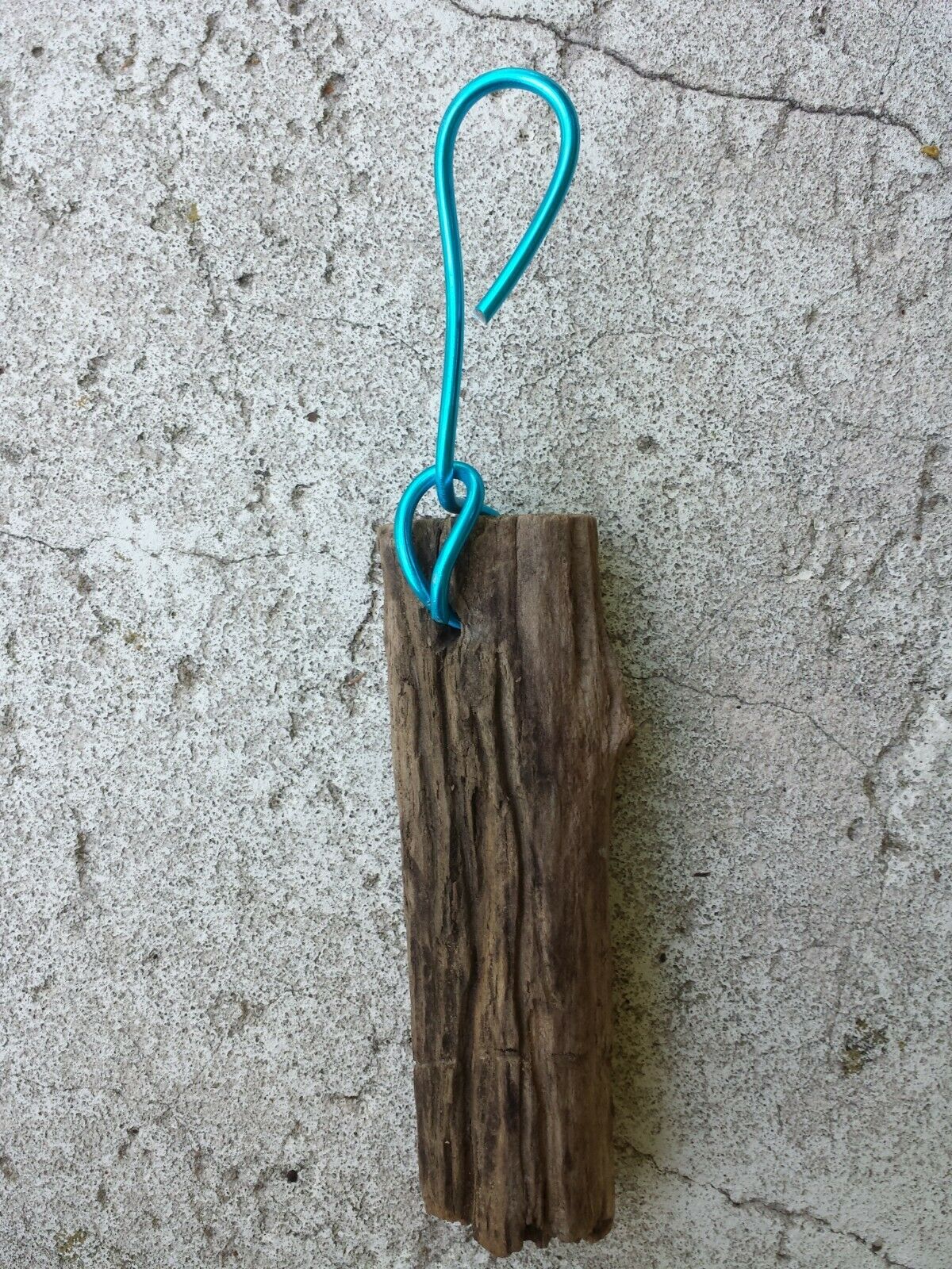 Drift wood mounting on hanging wire 6 inch for orchid epiphyte