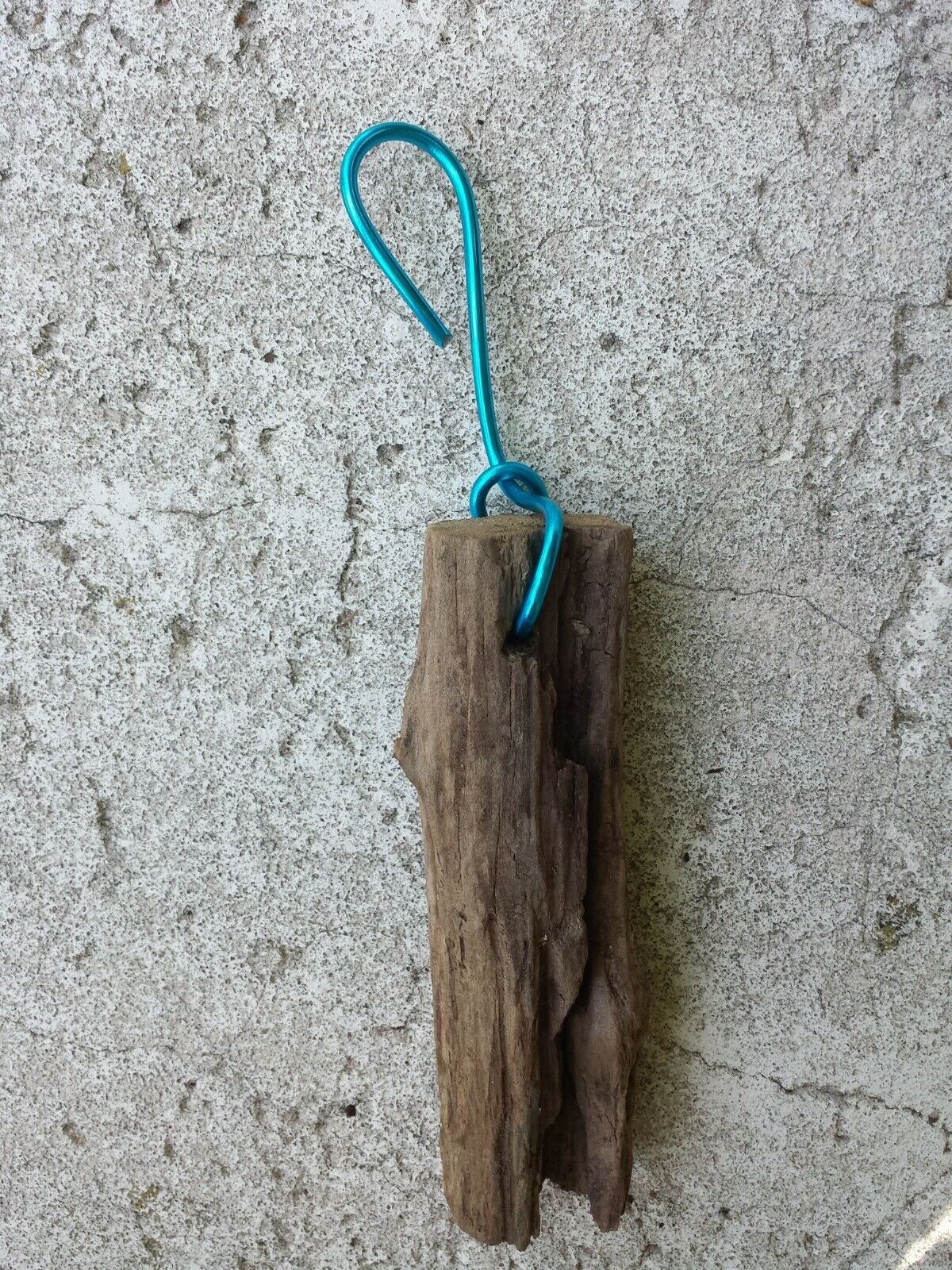 Drift wood mounting on hanging wire 6 inch for orchid epiphyte